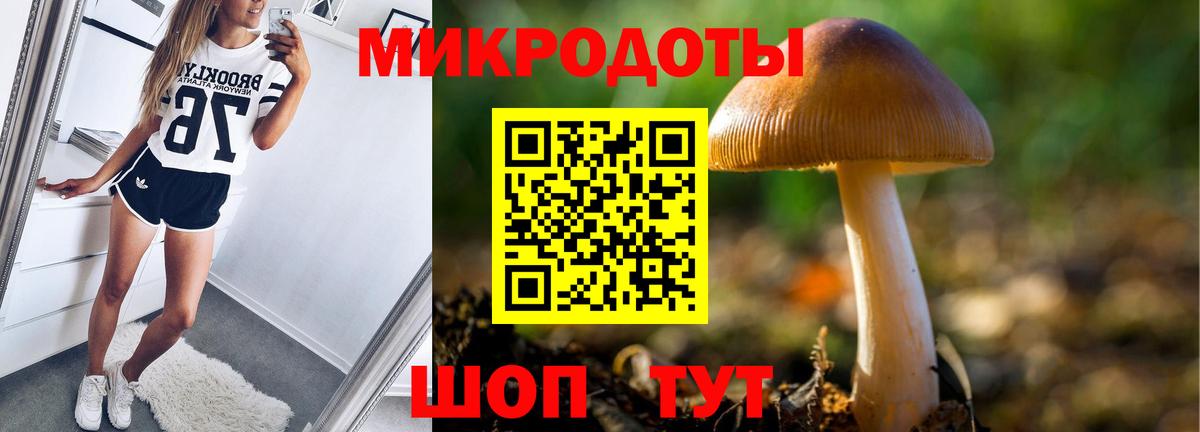 Псилоцибиновые грибы GOLDEN TEACHER Урус-Мартан